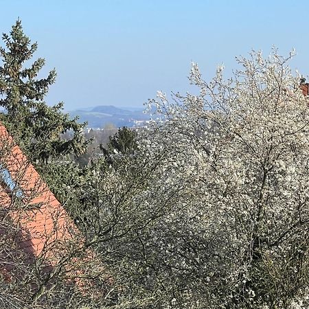Ferienwohnung Drážďany Exteriér fotografie